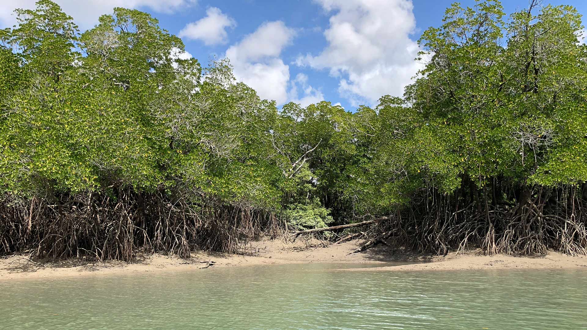 The Rivers & Islands — Dhipirri Barra & Sportfishing Lodge Arnhemland